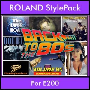 Time Traveler Series By PK Back To The 80s Vol. 1  - Standard Edition - 21 Song Styles for ROLAND E200 in STL format