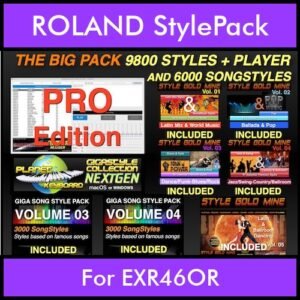 The BIG Pack By PK Incl. GSC NEXTGEN PRO 9800 Styles With Style Player Vol. 1  - 15800 Styles Splitted into - 9800 Styles and 6000 Song Styles for ROLAND EXR46OR in STL format