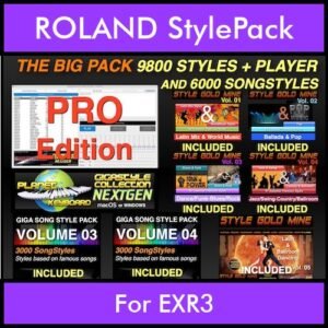 The BIG Pack By PK Incl. GSC NEXTGEN PRO 9800 Styles With Style Player Vol. 1  - 15800 Styles Splitted into - 9800 Styles and 6000 Song Styles for ROLAND EXR3 in STL format